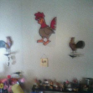 Meet your Posher, Dawn